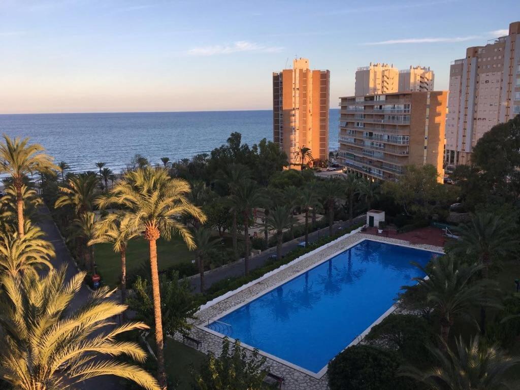 Alicante Plage Muchavista Vu Mer Piscine ,Wifi Buitenkant foto